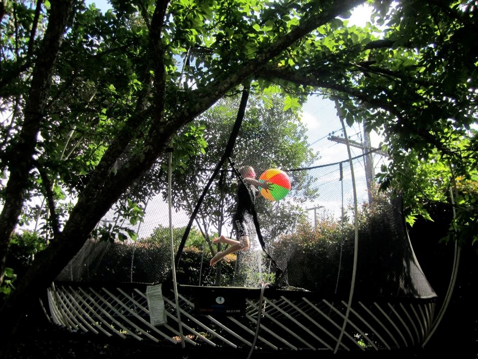 Boy with ball on trampoline